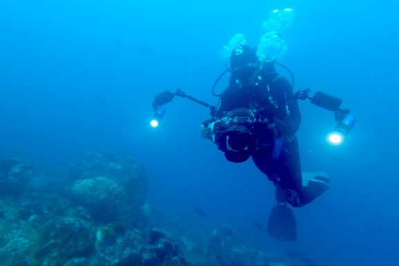 Director Ignacio Walker