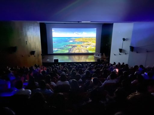 Santiago Wild Film Festival - Chile