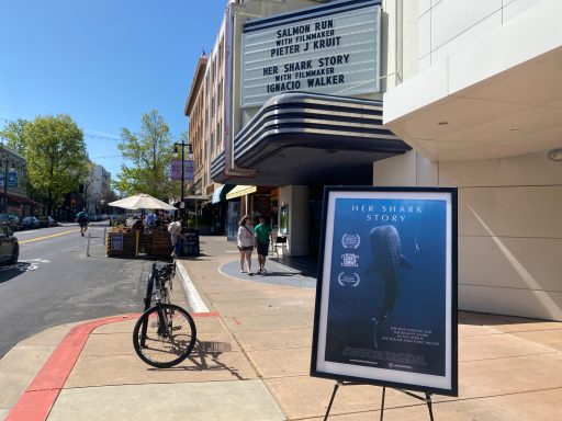 San Francisco - International Ocean Film Festival