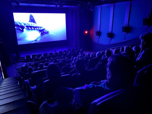 Chile Private Screening