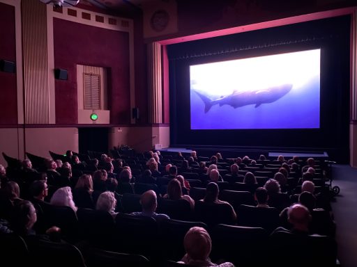 San Francisco - International Ocean Film Festival